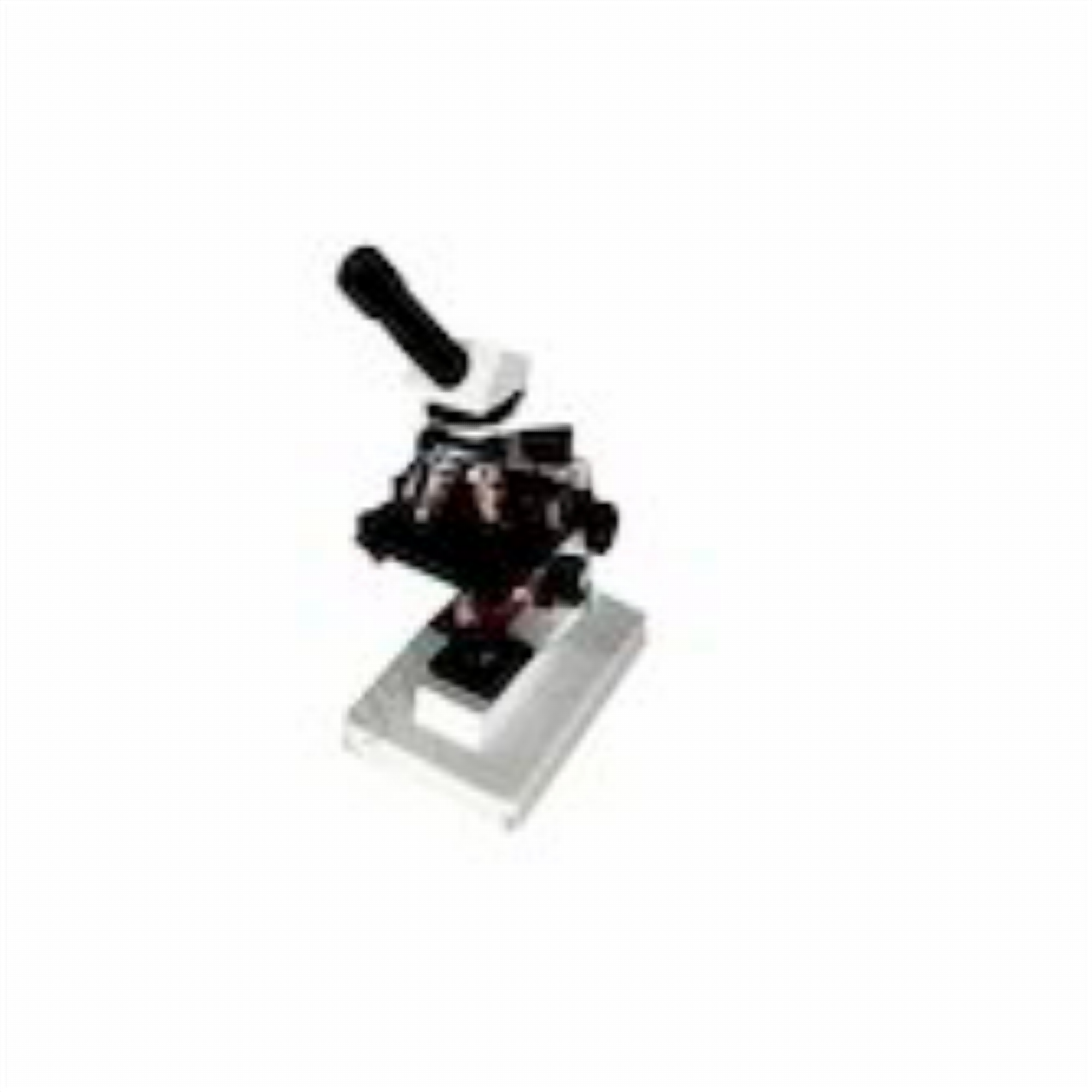 Stable Binocular Microscope
